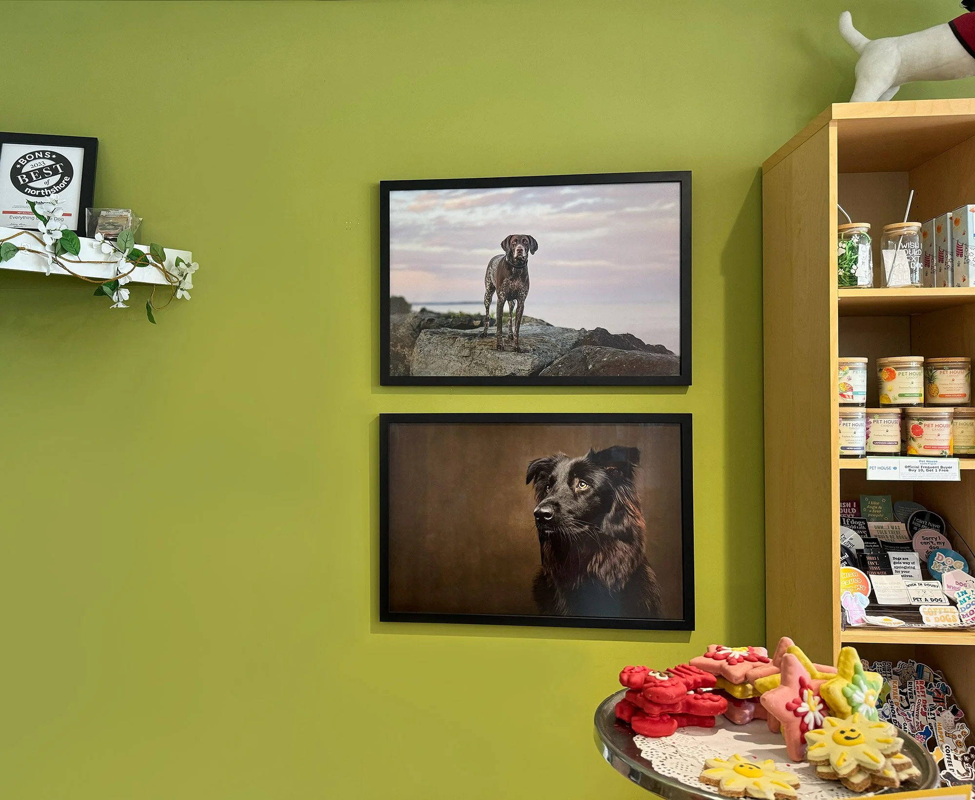  Everything But the Dog 