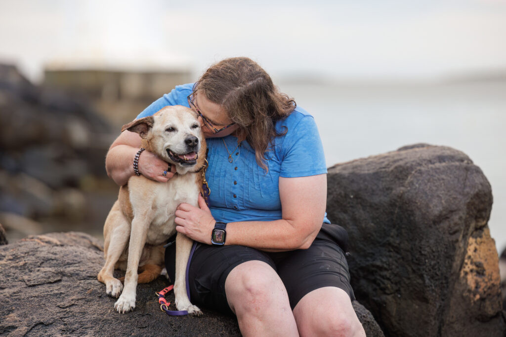 Senior dog during a legacy dog photography session in Massachusetts