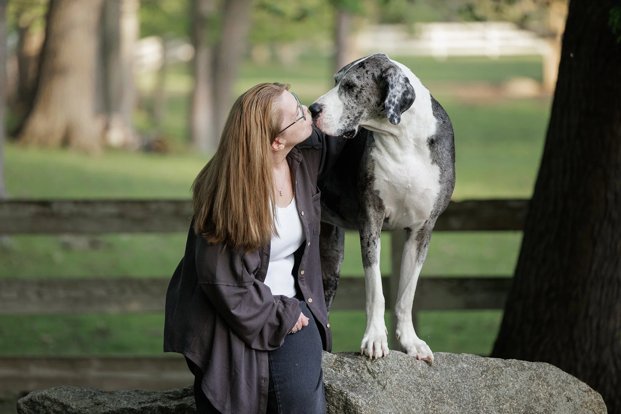 A woman with glasses and long red hair is sitting on a large rock, leaning towards a Great Dane dog on the rock in a park with trees and a wooden fence in the background. The woman and dog are touching noses.