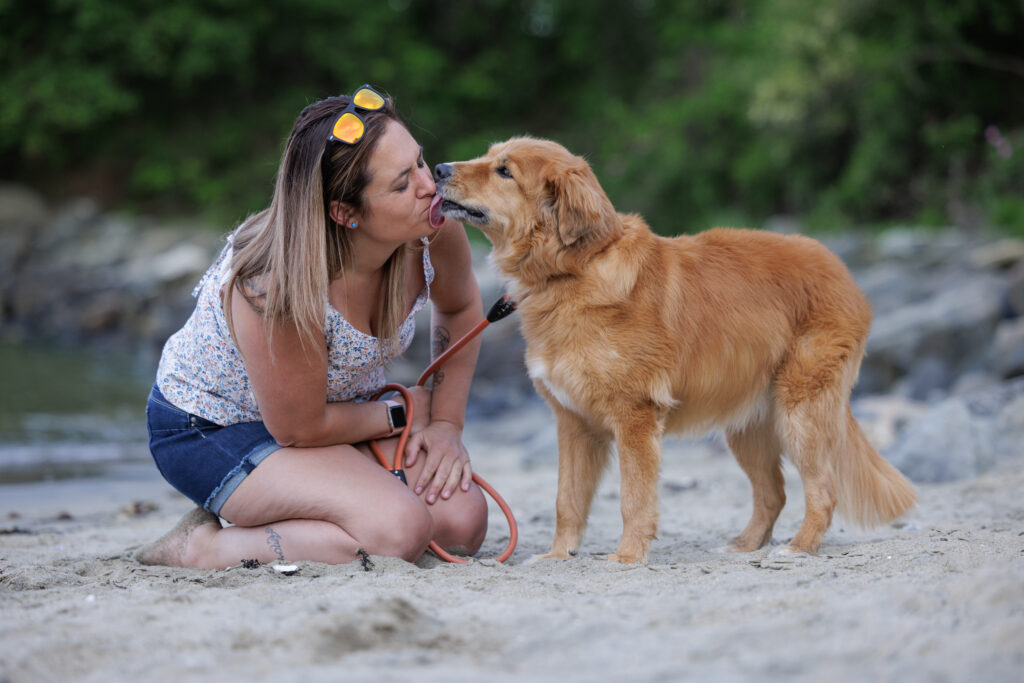 North Shore dog photographer capturing soulful portrait in Massachusetts